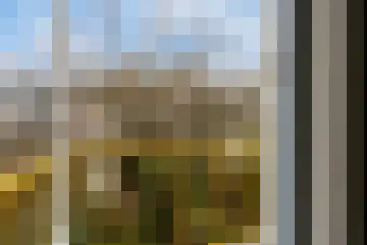Magelhaesstraat 10 's-Hertogenbosch thumbnail 17