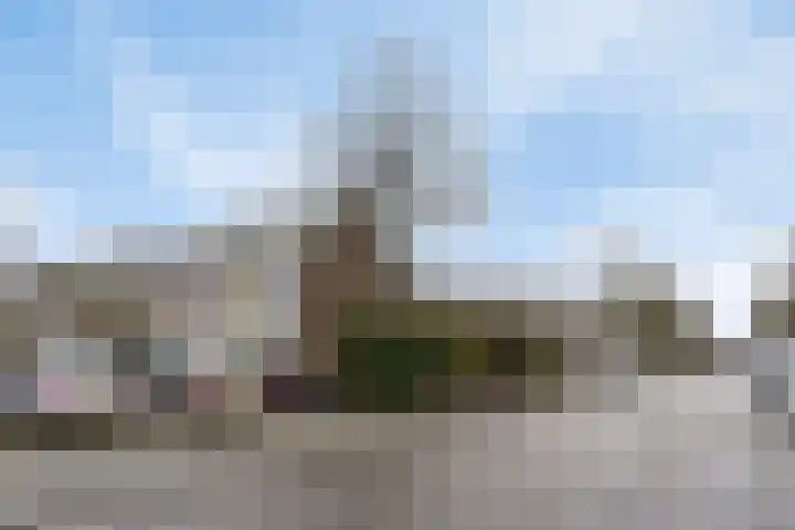 Magelhaesstraat 10 's-Hertogenbosch thumbnail 25