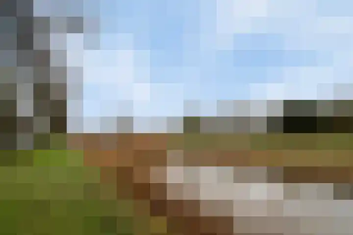 Magelhaesstraat 10 's-Hertogenbosch thumbnail 26