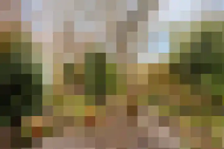 Magelhaesstraat 10 's-Hertogenbosch thumbnail 6