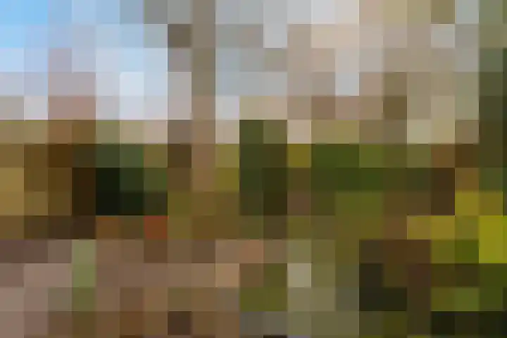Magelhaesstraat 10 's-Hertogenbosch thumbnail 7