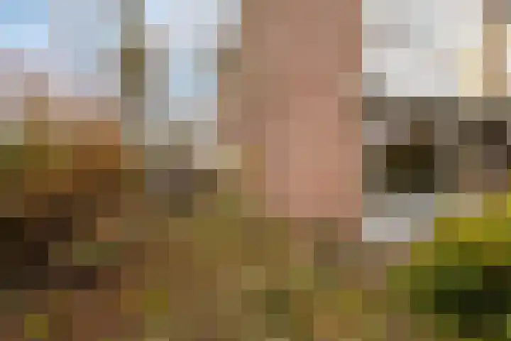 Magelhaesstraat 10 's-Hertogenbosch thumbnail 8