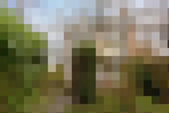 Magelhaesstraat 10 's-Hertogenbosch thumbnail 9