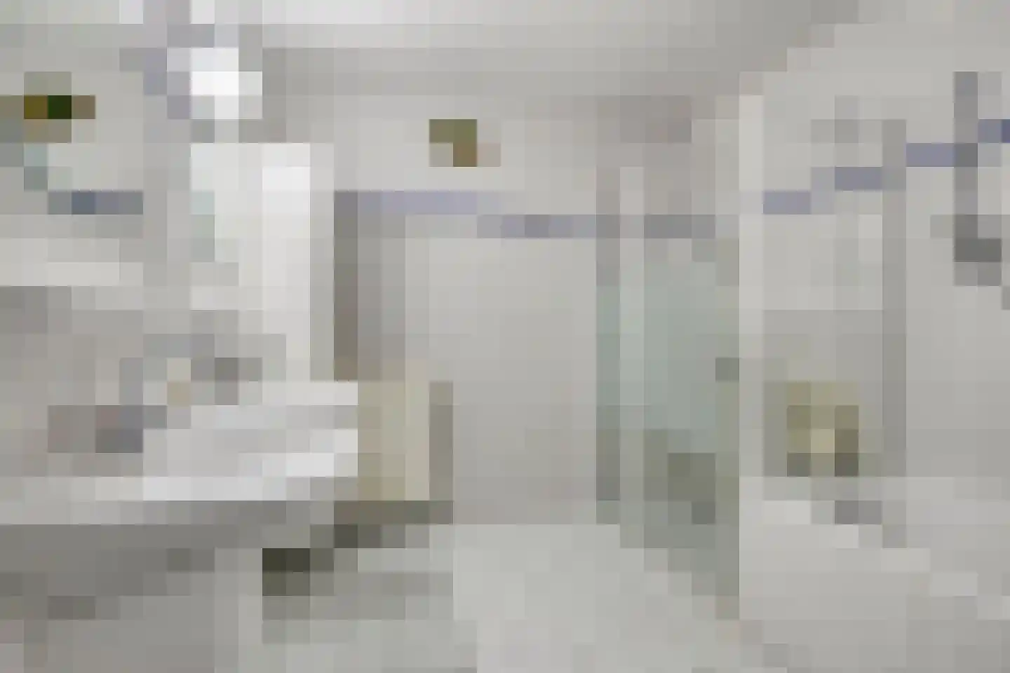 Magentahof 1 Tilburg thumbnail 16