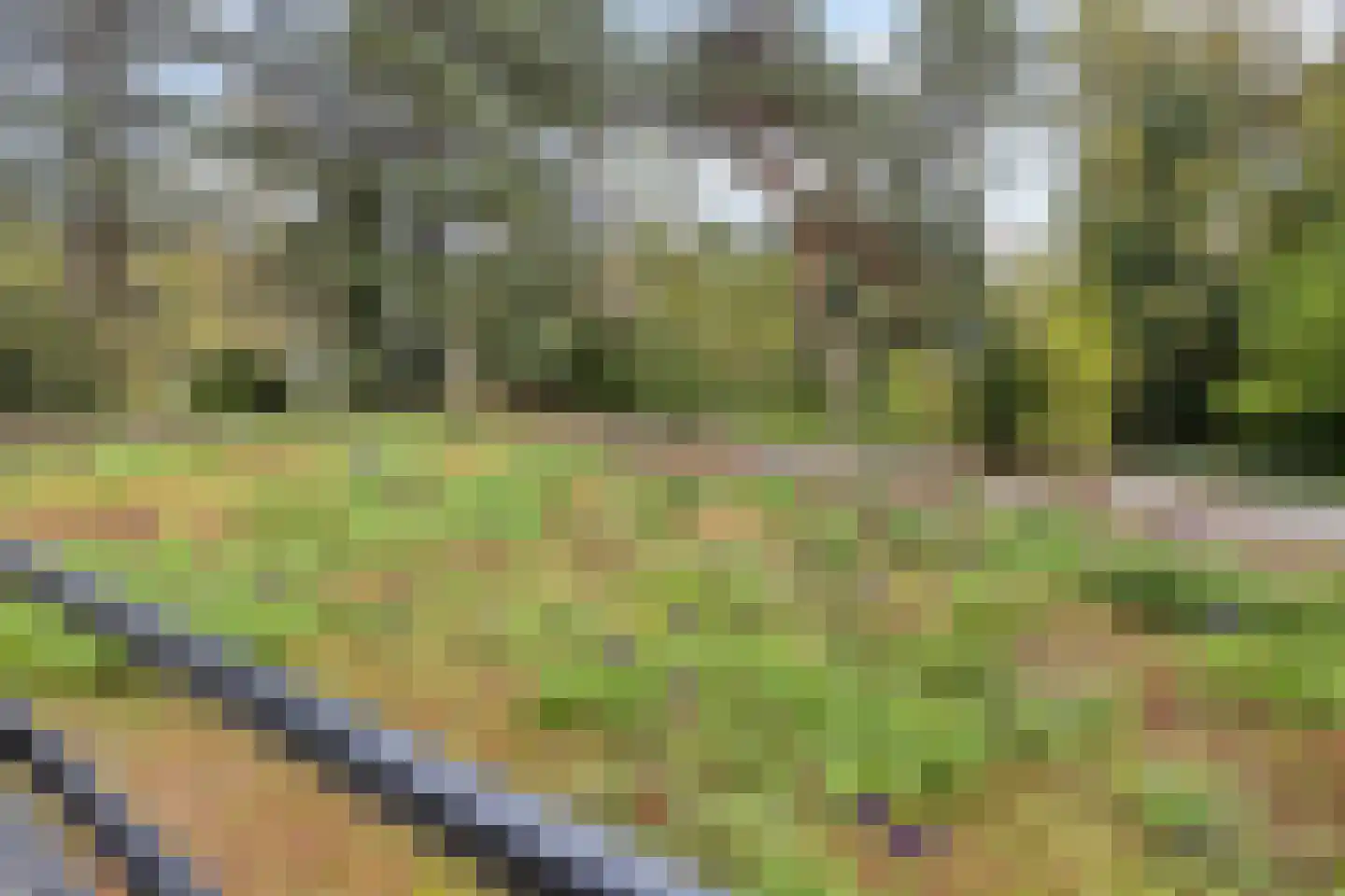 Magentahof 1 Tilburg thumbnail 20