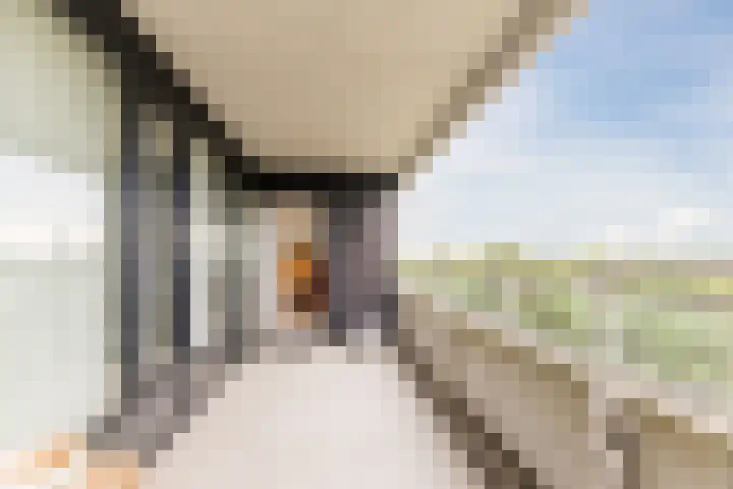 Magentahof 19 Tilburg thumbnail 12