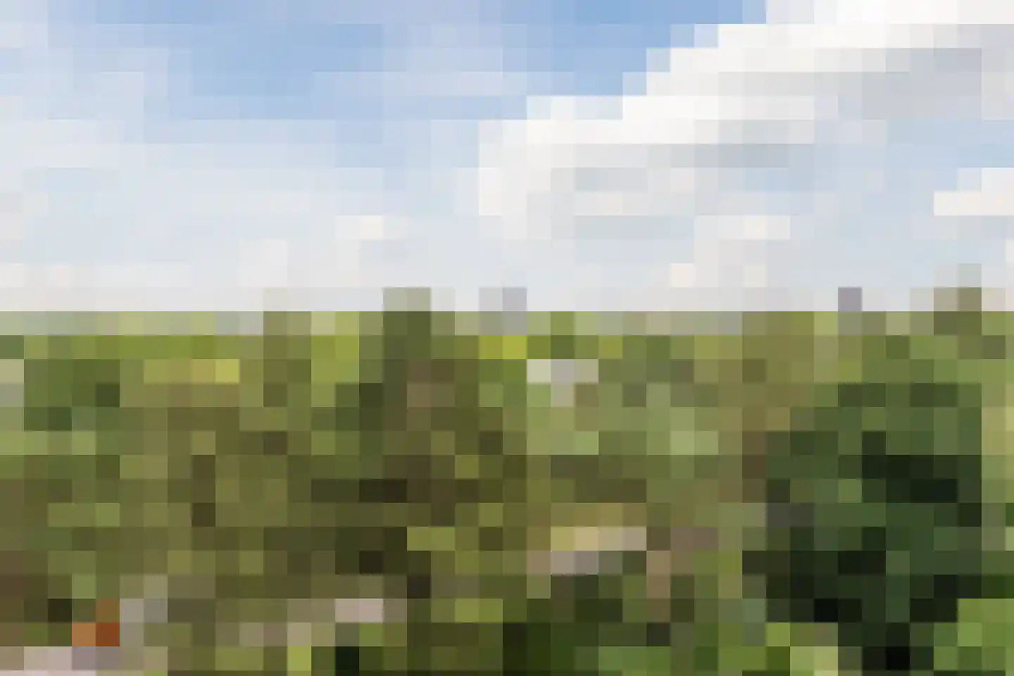Magentahof 19 Tilburg thumbnail 14