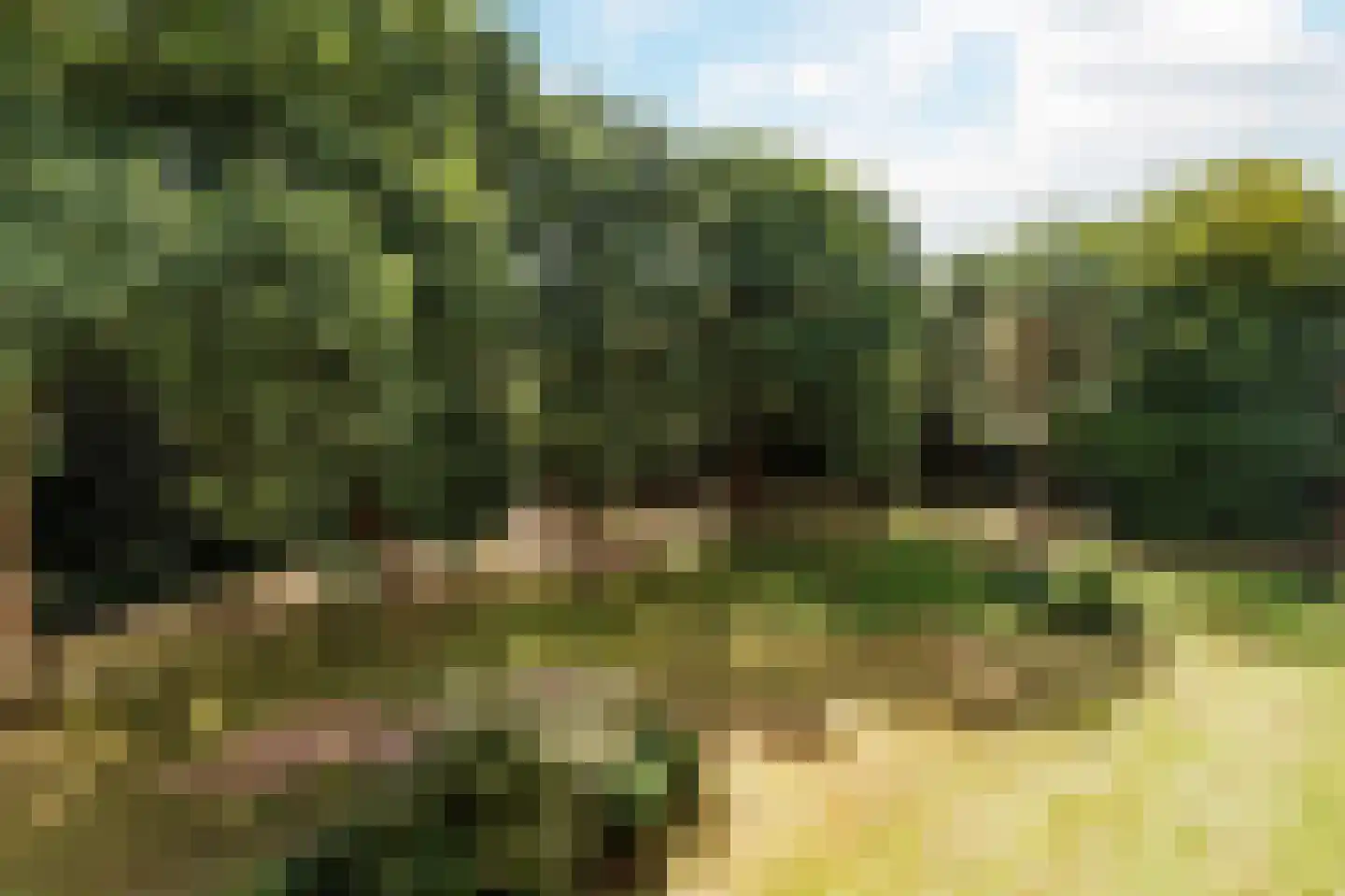 Magentahof 19 Tilburg thumbnail 31