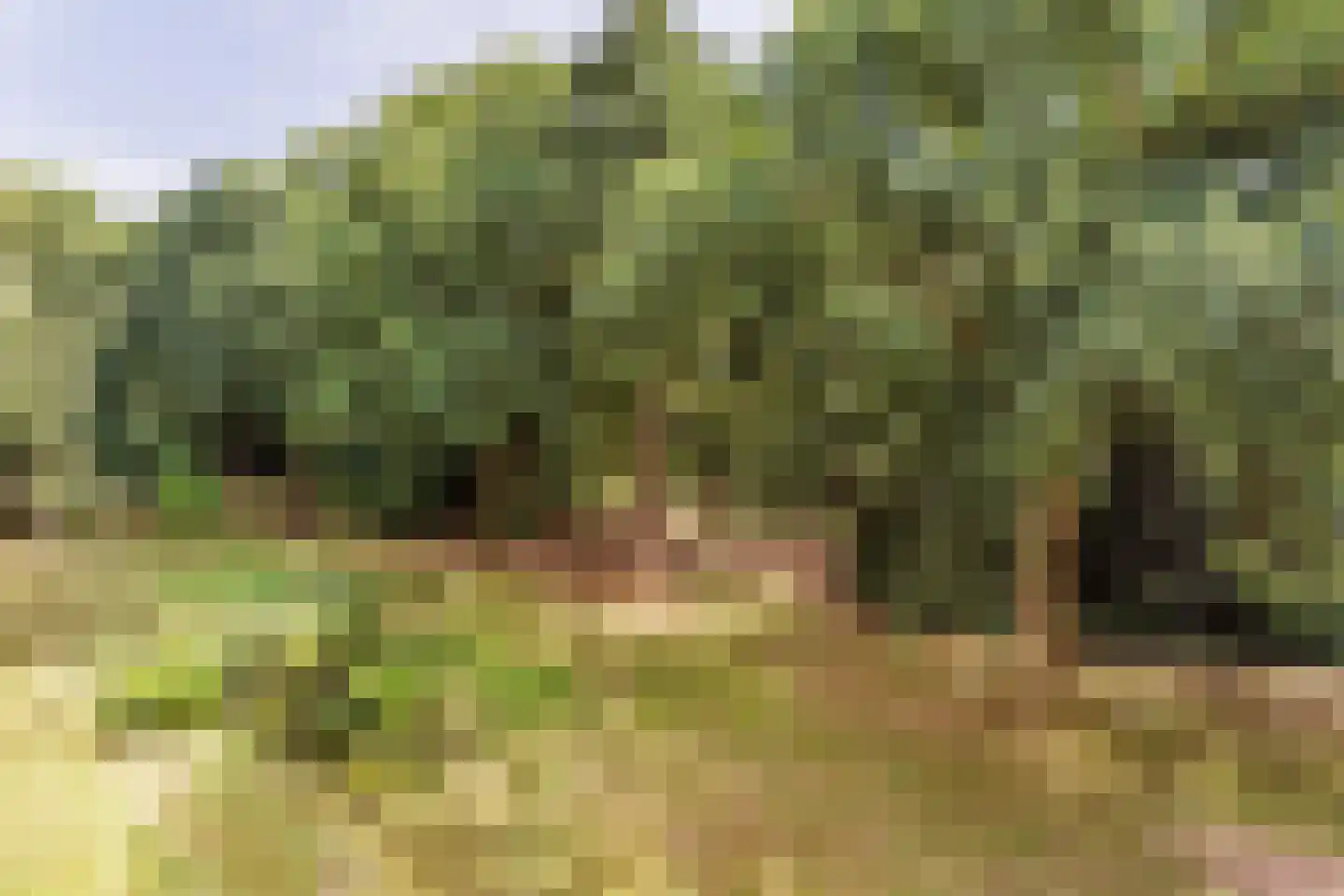 Magentahof 19 Tilburg thumbnail 33
