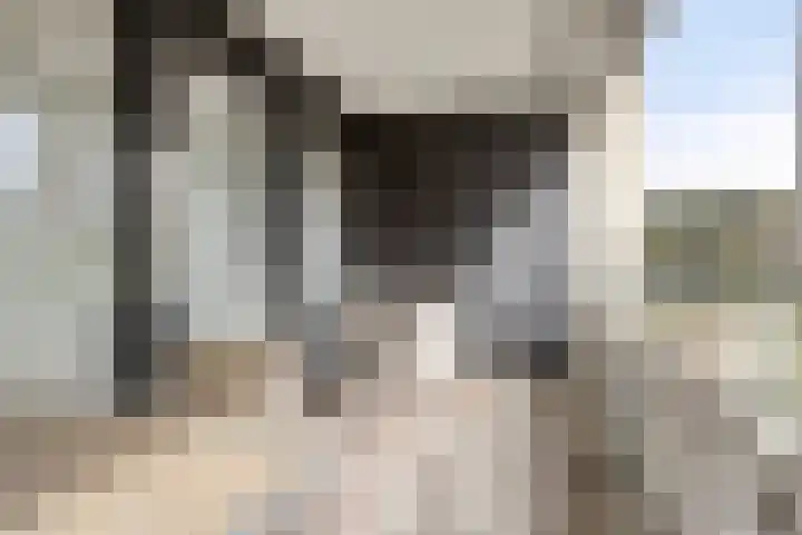 Magentahof 44 Tilburg thumbnail 12