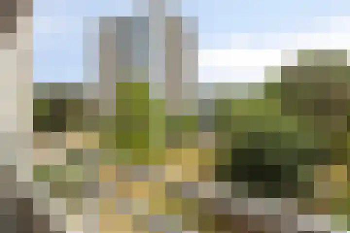 Magentahof 44 Tilburg thumbnail 13
