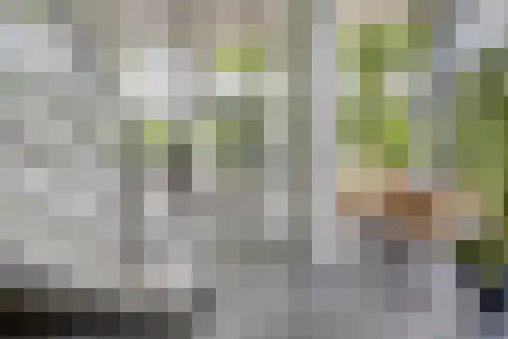 Magentahof 44 Tilburg thumbnail 26
