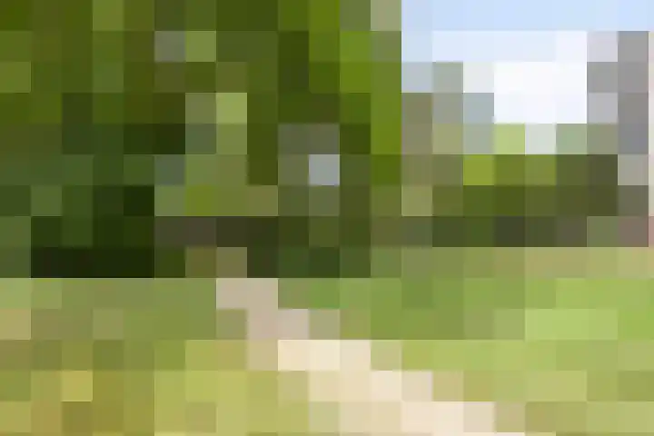 Magentahof 44 Tilburg thumbnail 33