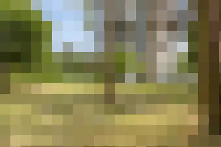 Magentahof 44 Tilburg thumbnail 34
