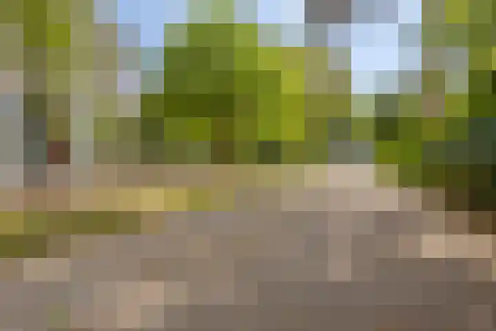 Magentahof 44 Tilburg thumbnail 35