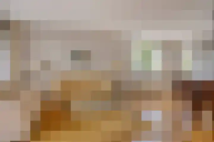 Magentahof 44 Tilburg thumbnail 4