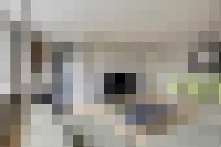 Magentahof 46 Tilburg thumbnail 10