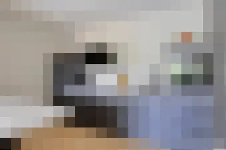 Magentahof 46 Tilburg thumbnail 14
