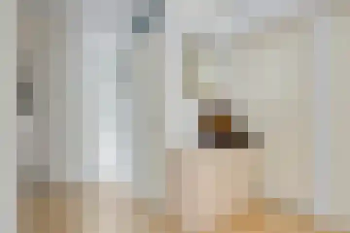 Magentahof 46 Tilburg thumbnail 16