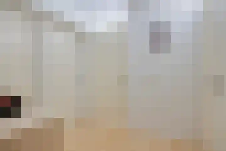 Magentahof 46 Tilburg thumbnail 17