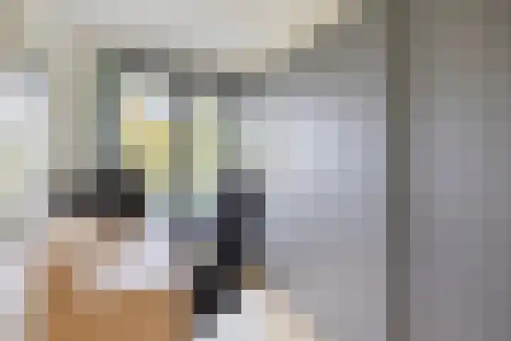 Magentahof 46 Tilburg thumbnail 20