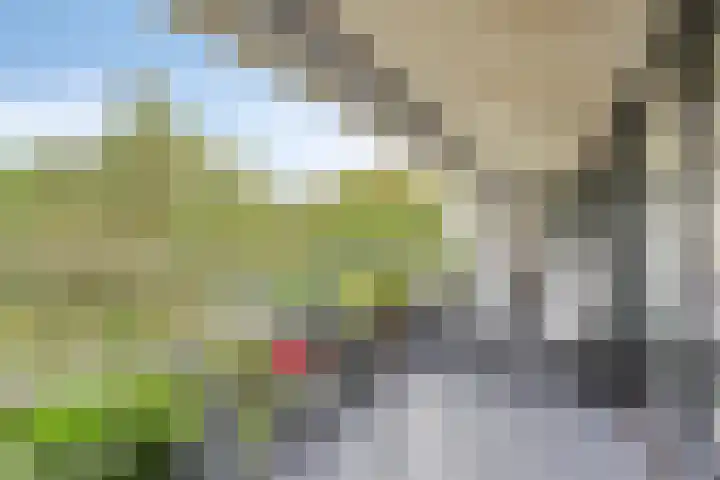 Magentahof 46 Tilburg thumbnail 25