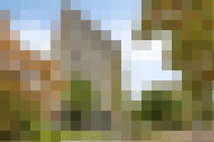Magentahof 46 Tilburg thumbnail 6