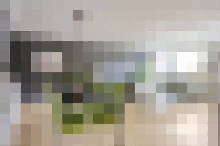 Magentahof 46 Tilburg thumbnail 8
