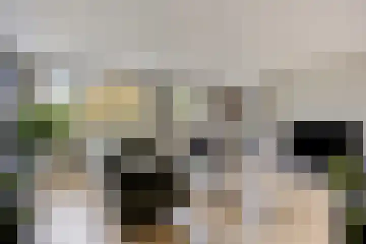 Magentahof 46 Tilburg thumbnail 9