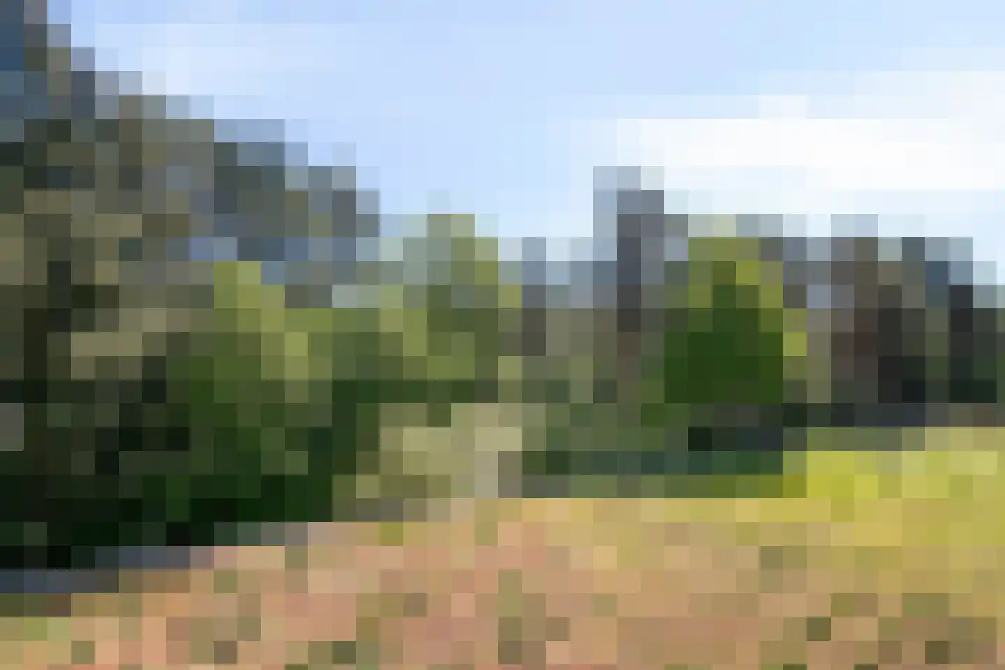 Magentahof 47 Tilburg thumbnail 34