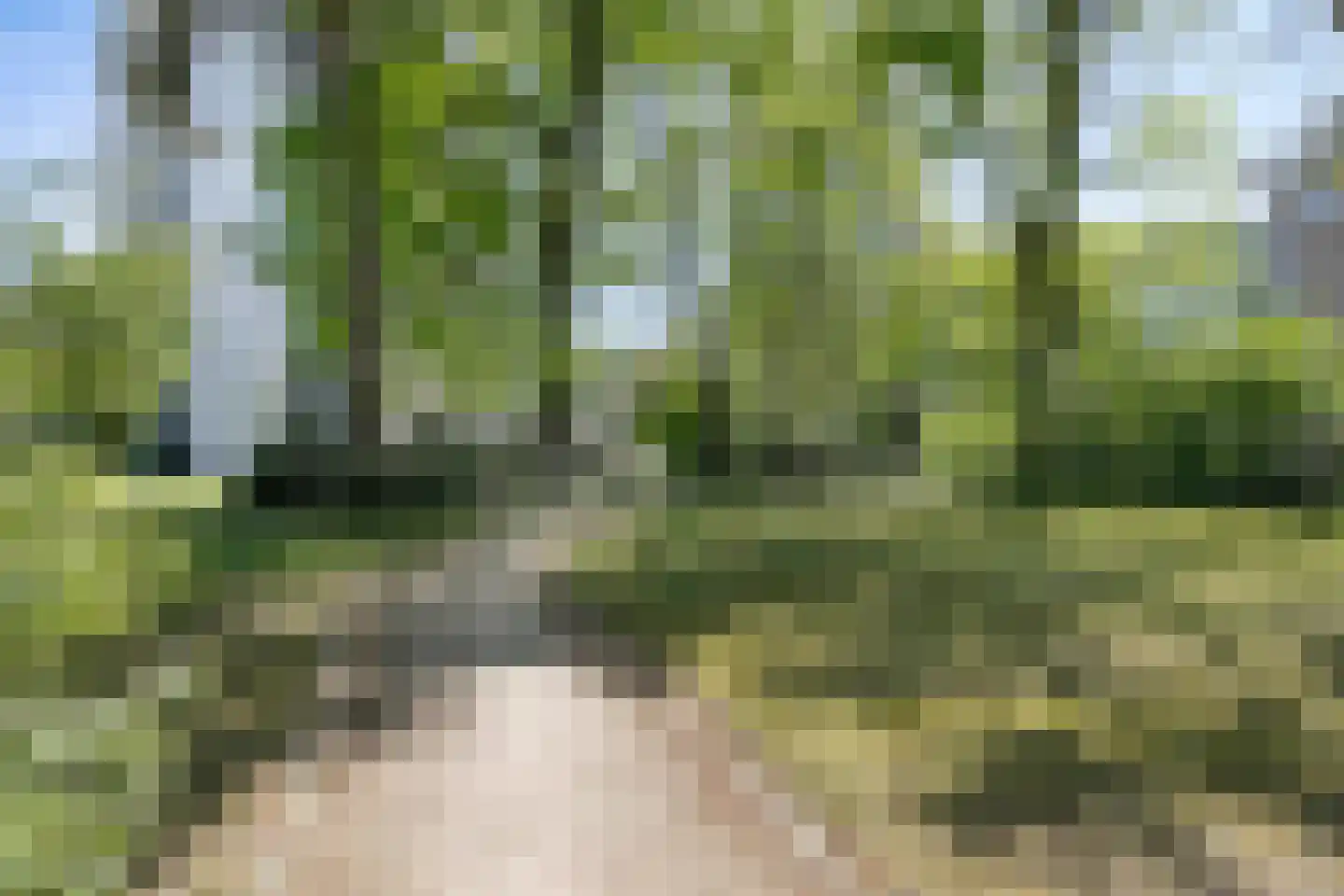 Magentahof 47 Tilburg thumbnail 47