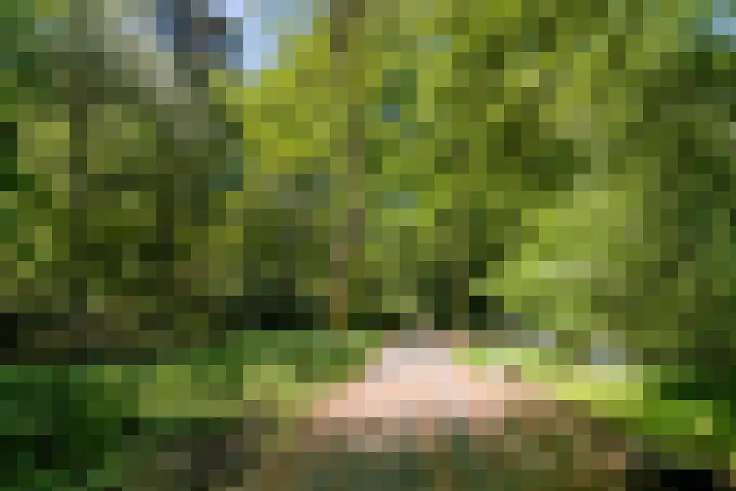 Magentahof 47 Tilburg thumbnail 48