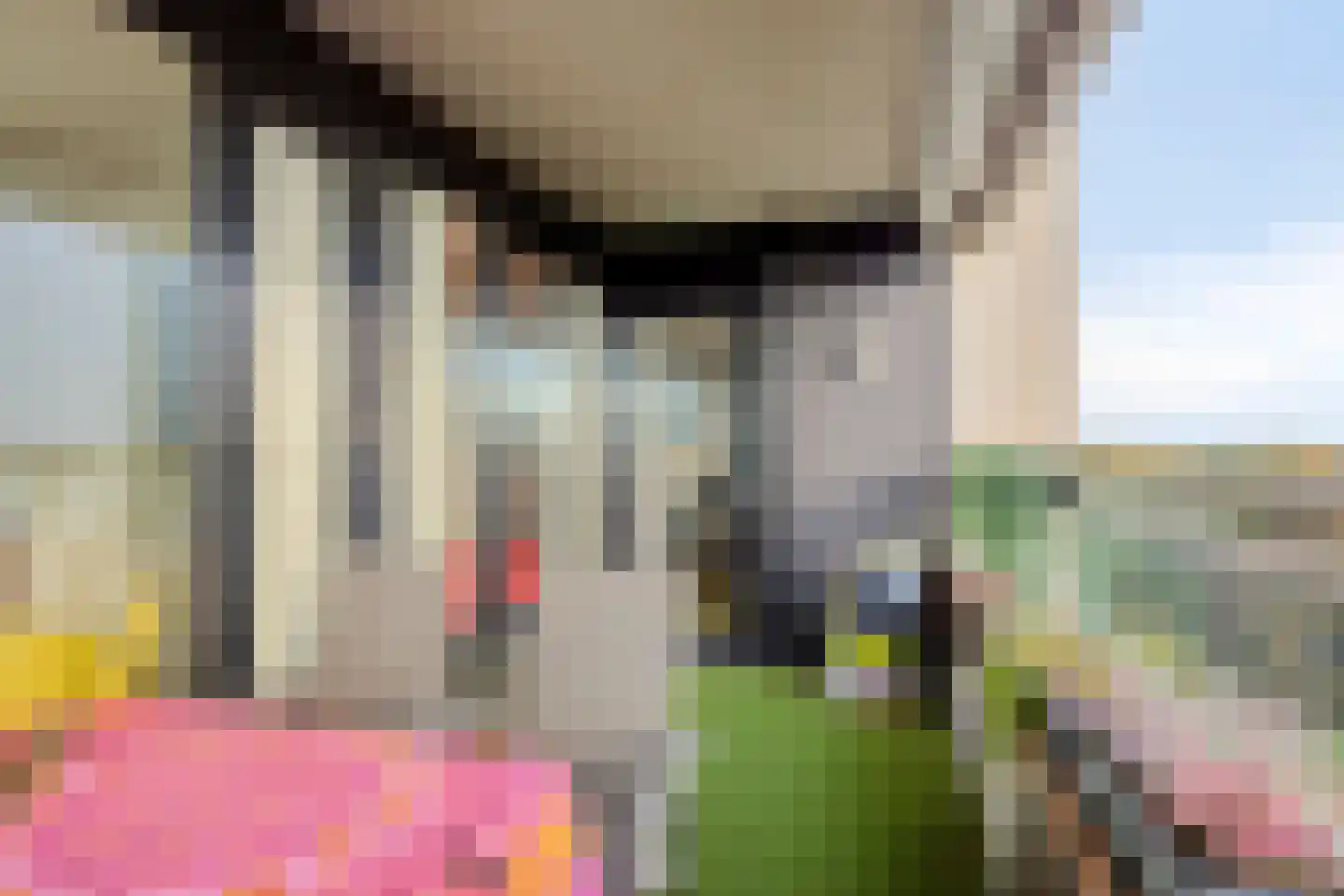 Magentahof 62 Tilburg thumbnail 34