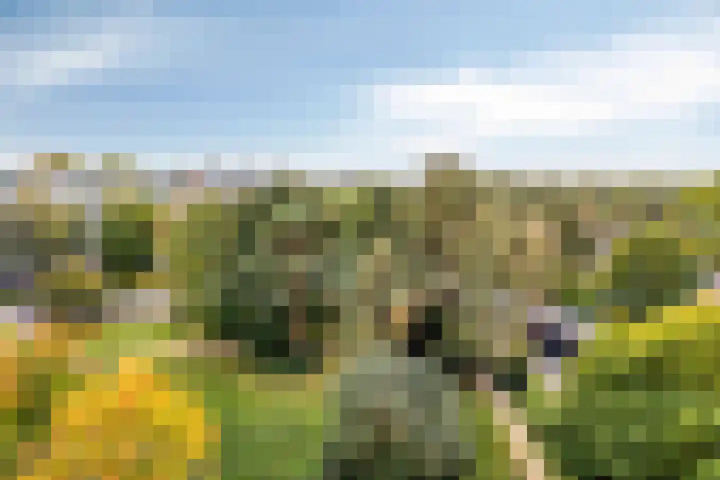 Magentahof 62 Tilburg thumbnail 36