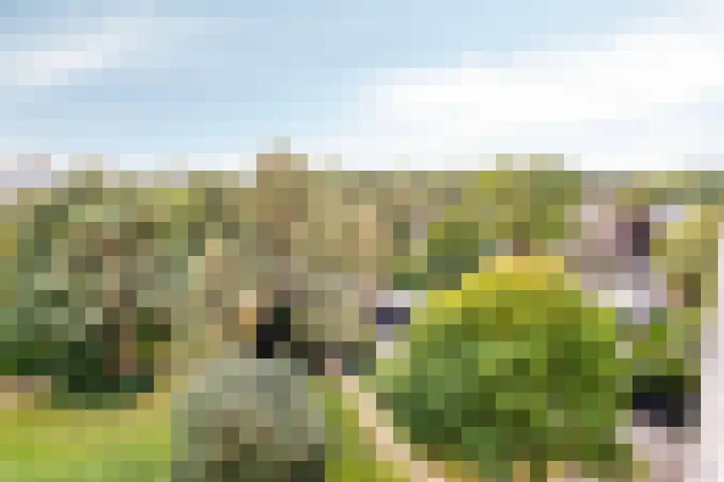 Magentahof 62 Tilburg thumbnail 37