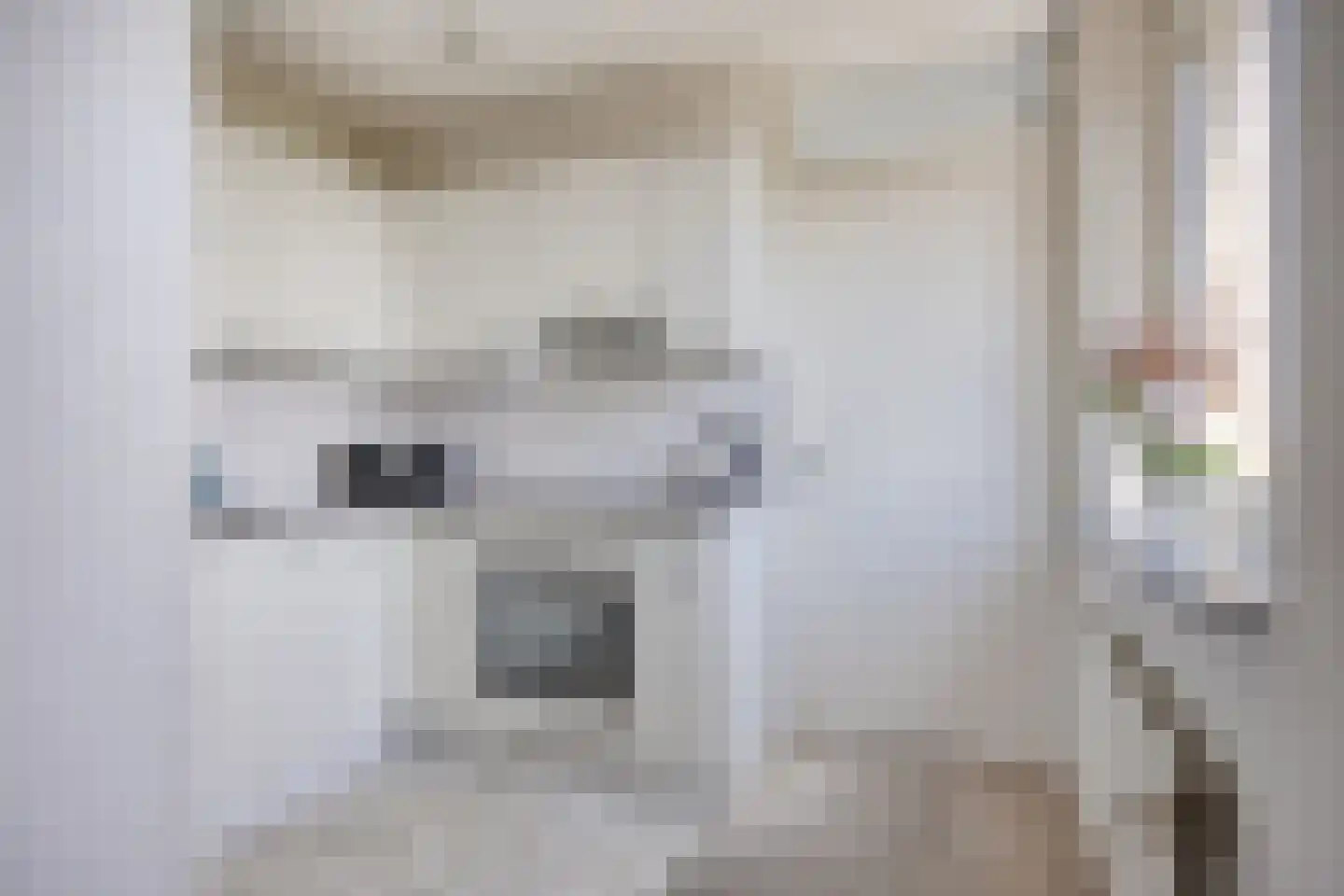 Magentahof 63 Tilburg thumbnail 21