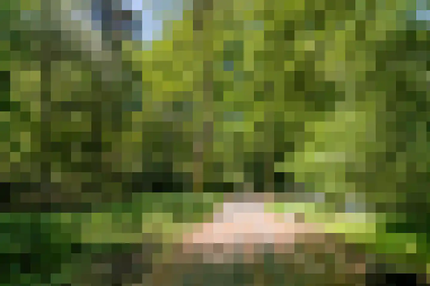 Magentahof 63 Tilburg thumbnail 36