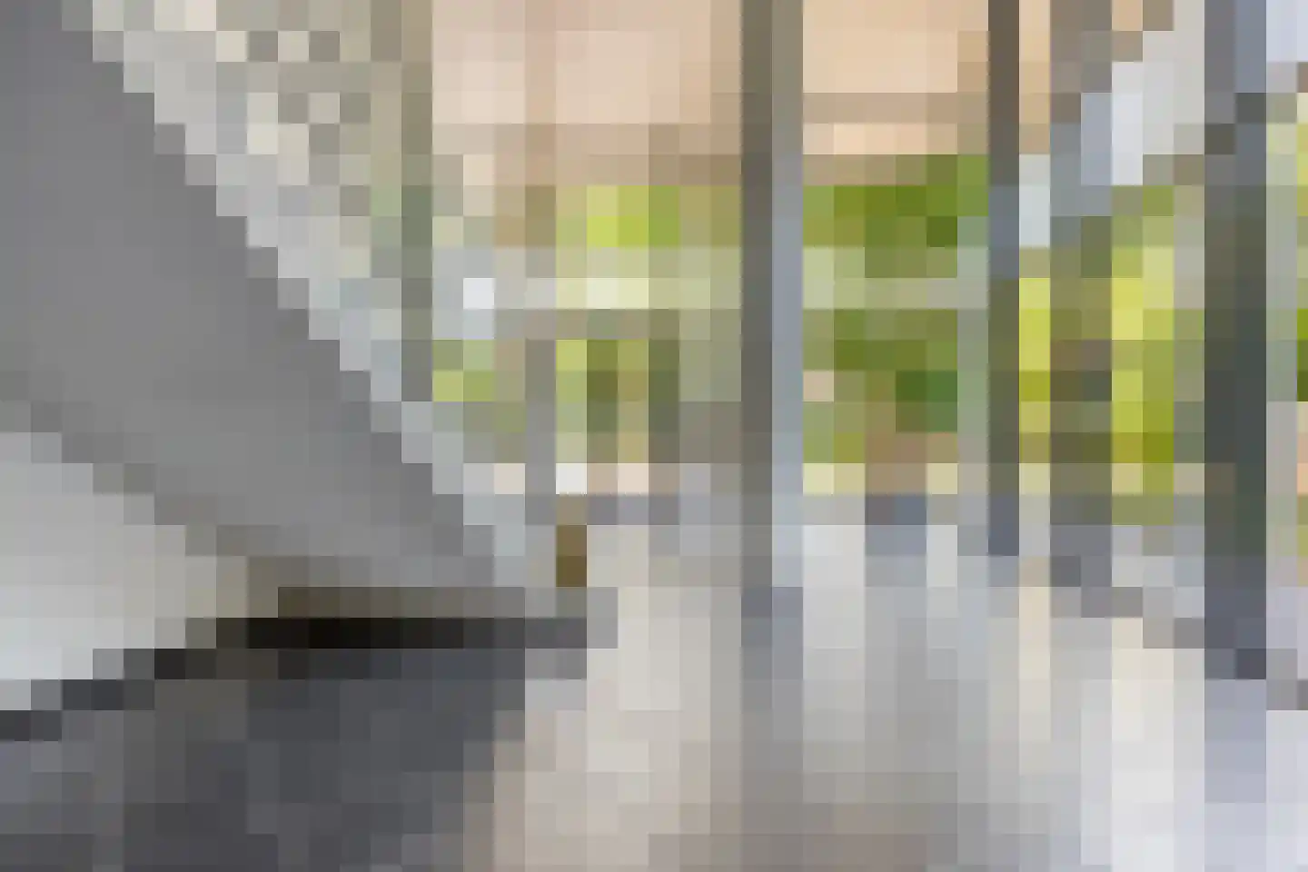 Magentahof 63 Tilburg thumbnail 6