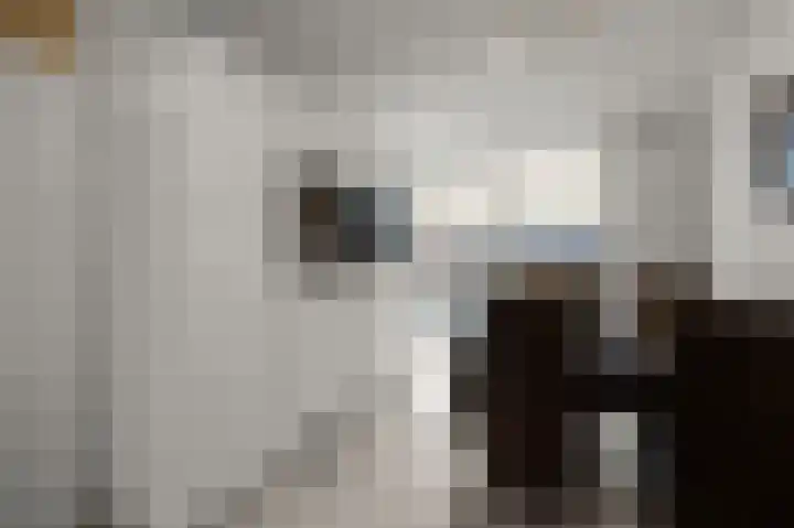 Magerhorst 17 Alphen aan den Rijn thumbnail 12