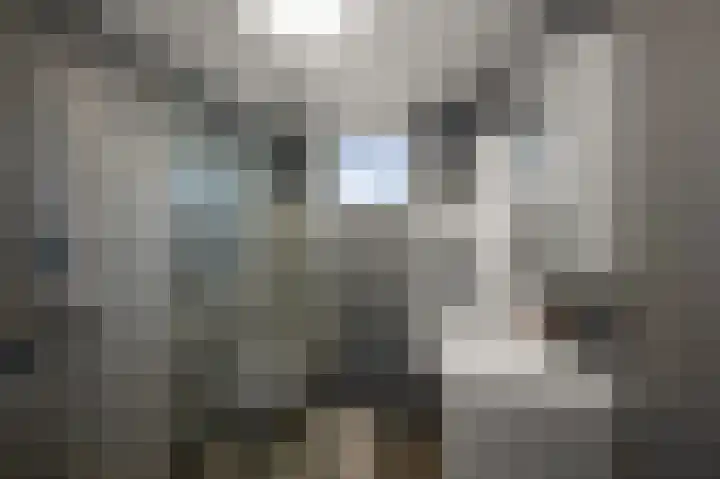 Magerhorst 17 Alphen aan den Rijn thumbnail 16