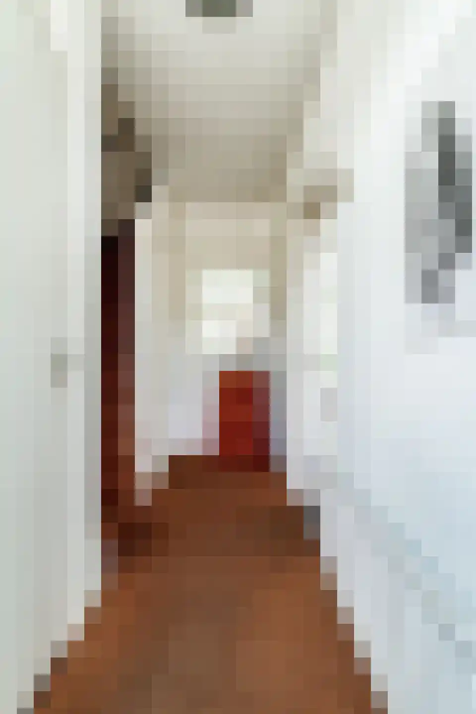 Magerhorststraat 2 Arnhem thumbnail 12