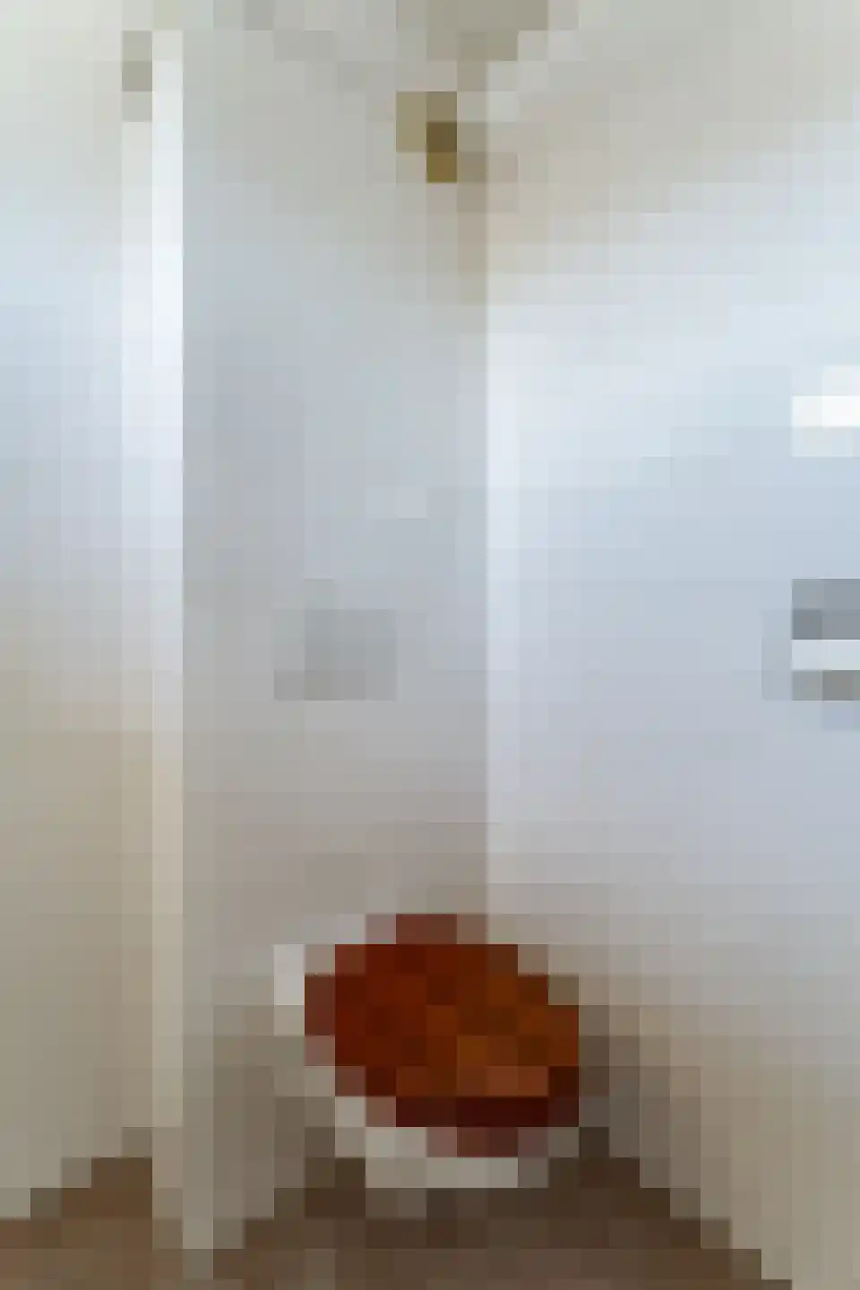 Magerhorststraat 2 Arnhem thumbnail 13