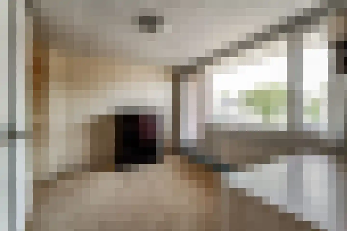 Magerhorststraat 2 Arnhem thumbnail 30