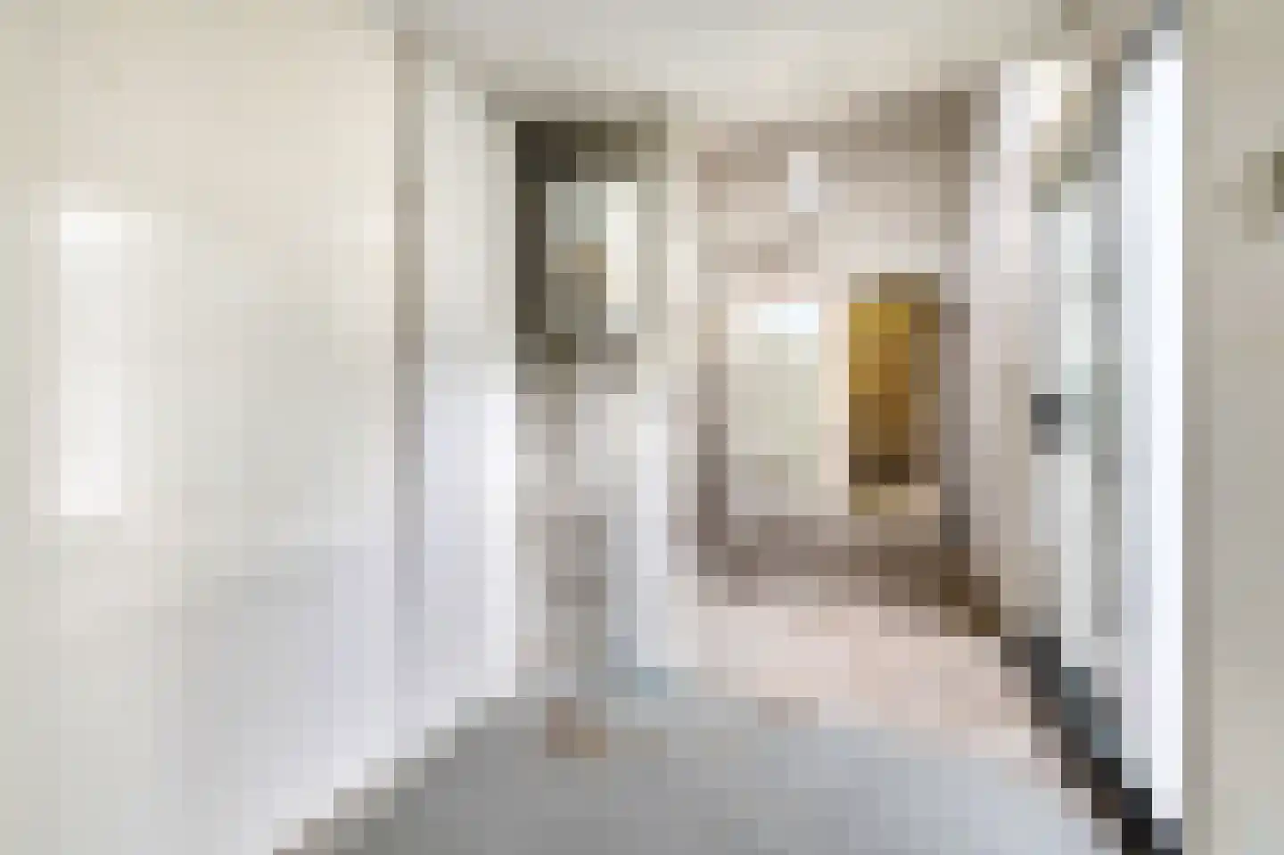 Magerhorststraat 24 Arnhem thumbnail 8