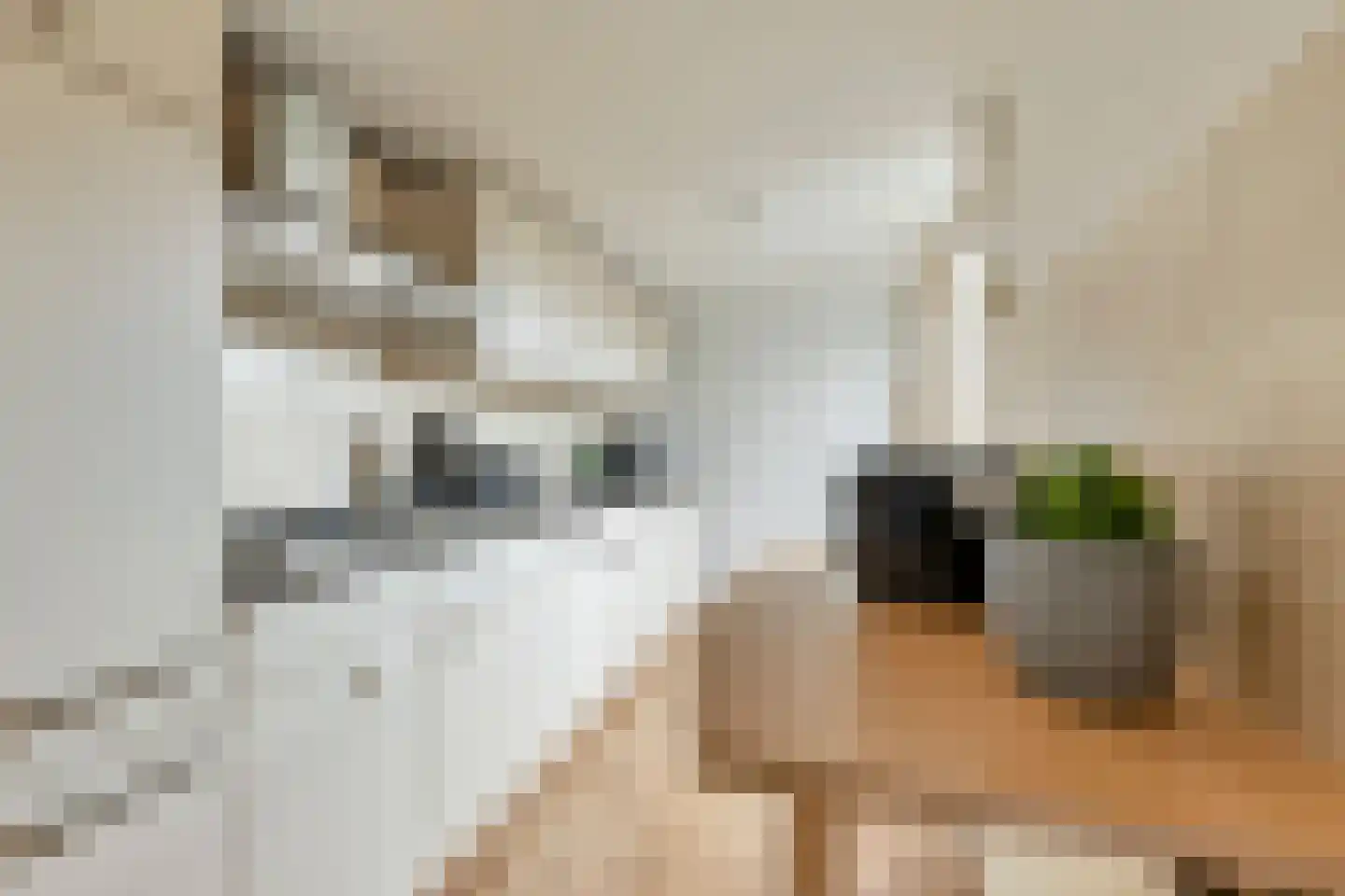 Magerhorststraat 30 Arnhem thumbnail 9