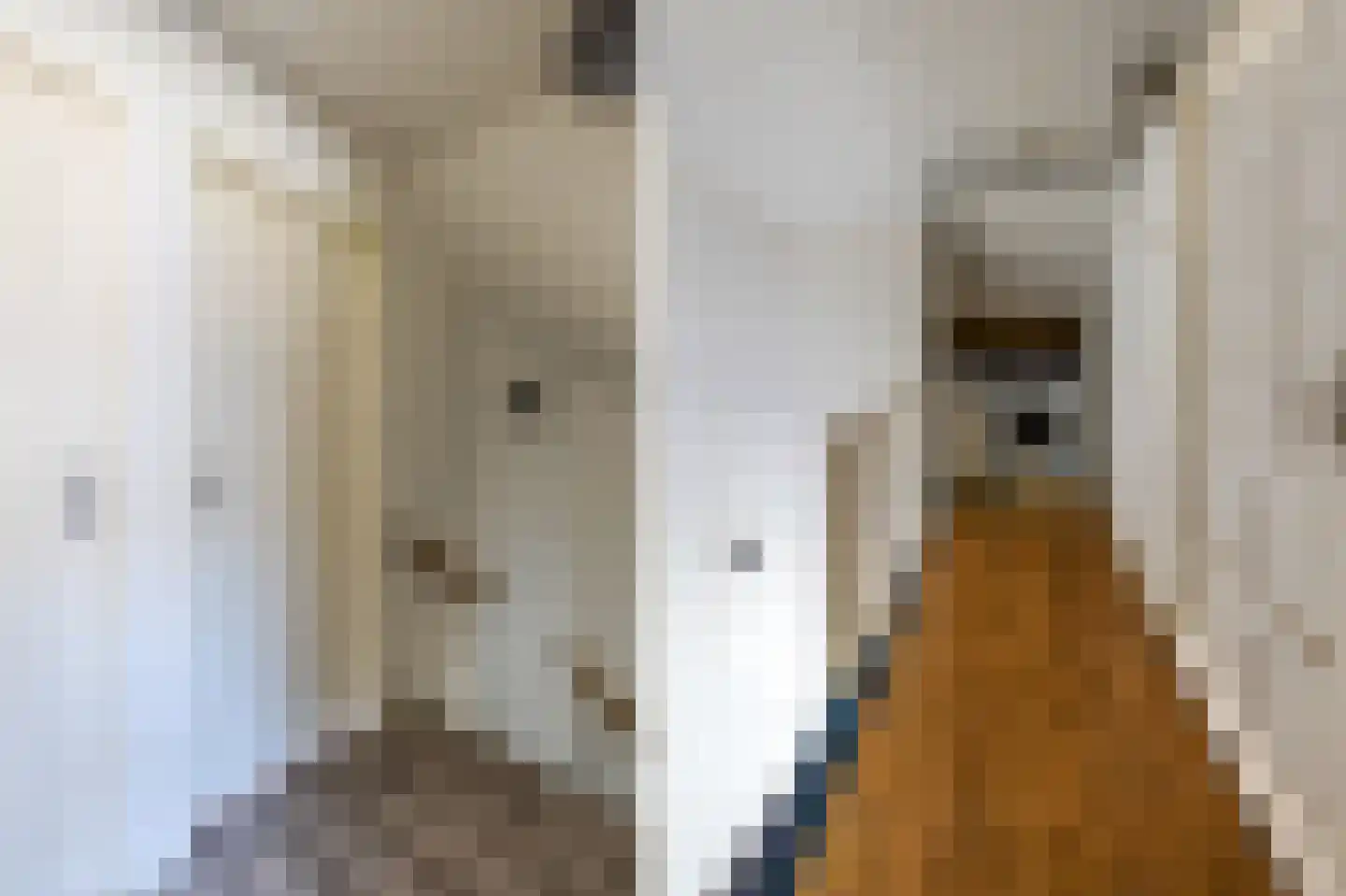 Magerhorststraat 7 Arnhem thumbnail 26