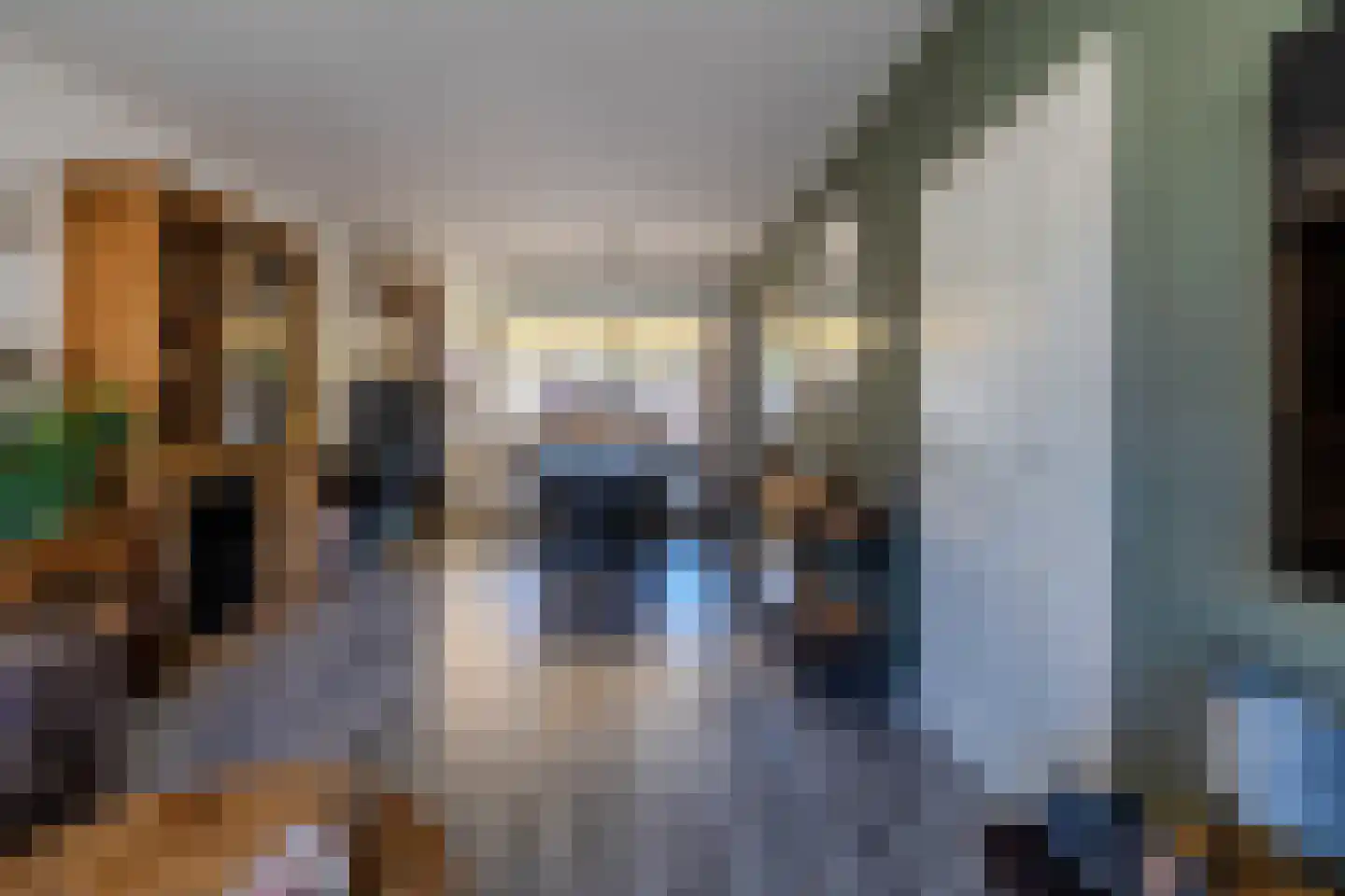 Magerhorststraat 7 Arnhem thumbnail 8