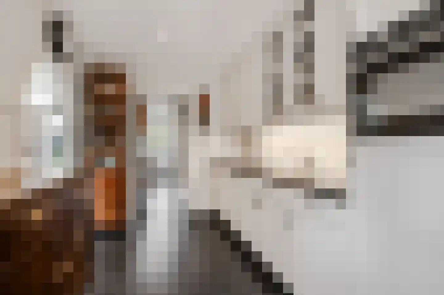 Magirusstraat 11 Kootwijkerbroek thumbnail 15