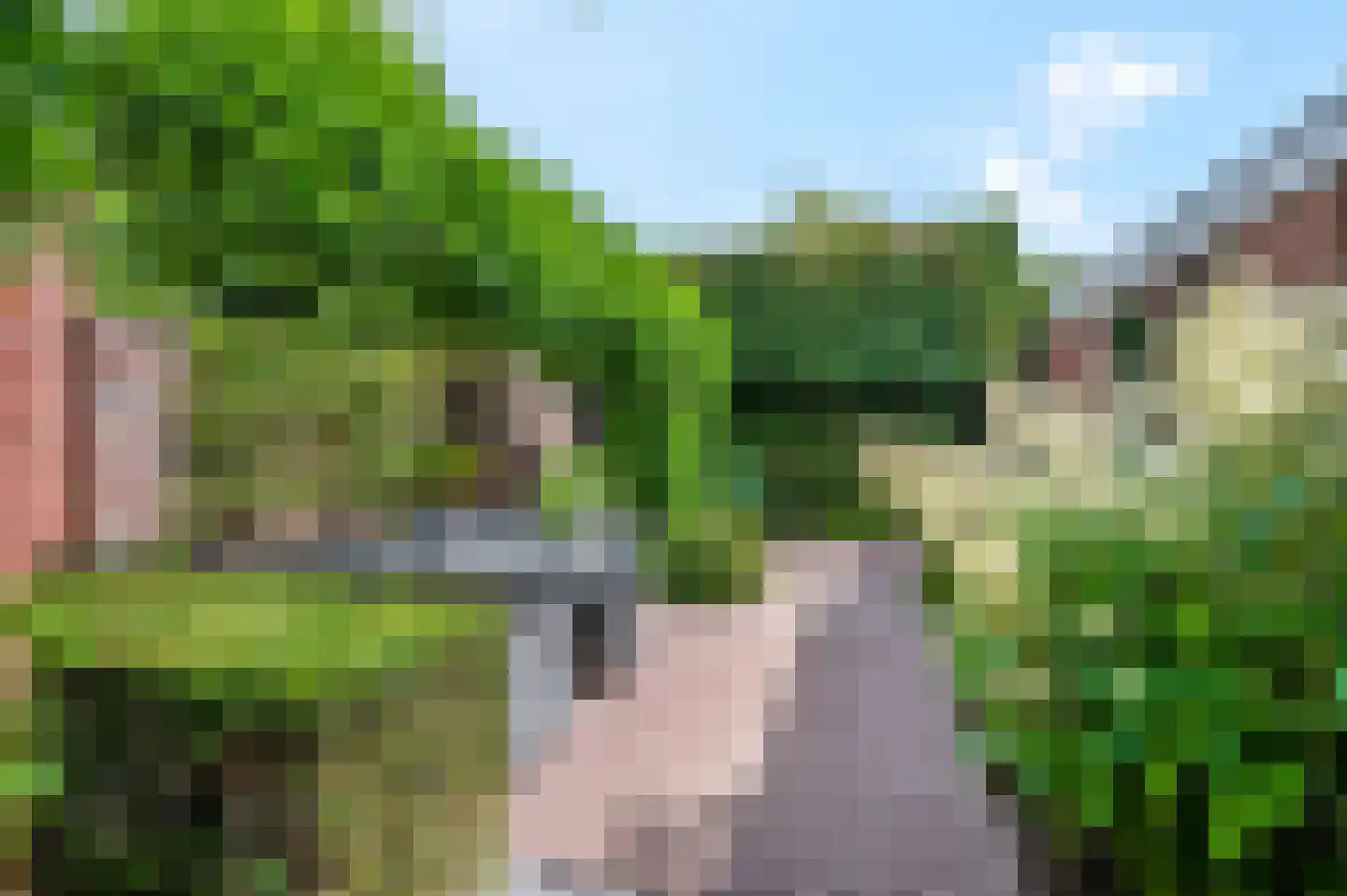 Magirusstraat 11 Kootwijkerbroek thumbnail 38