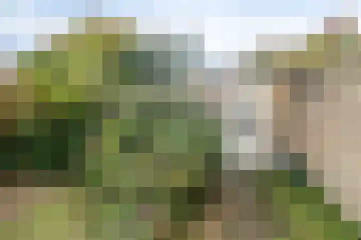 Magisterstraat 32 Veldhoven thumbnail 30